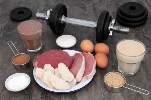 Conseils pour augmenter la musculature