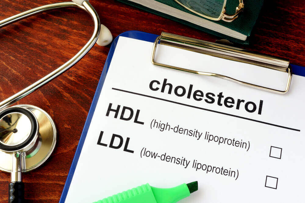 le bon cholestérol et le mauvais cholestérol