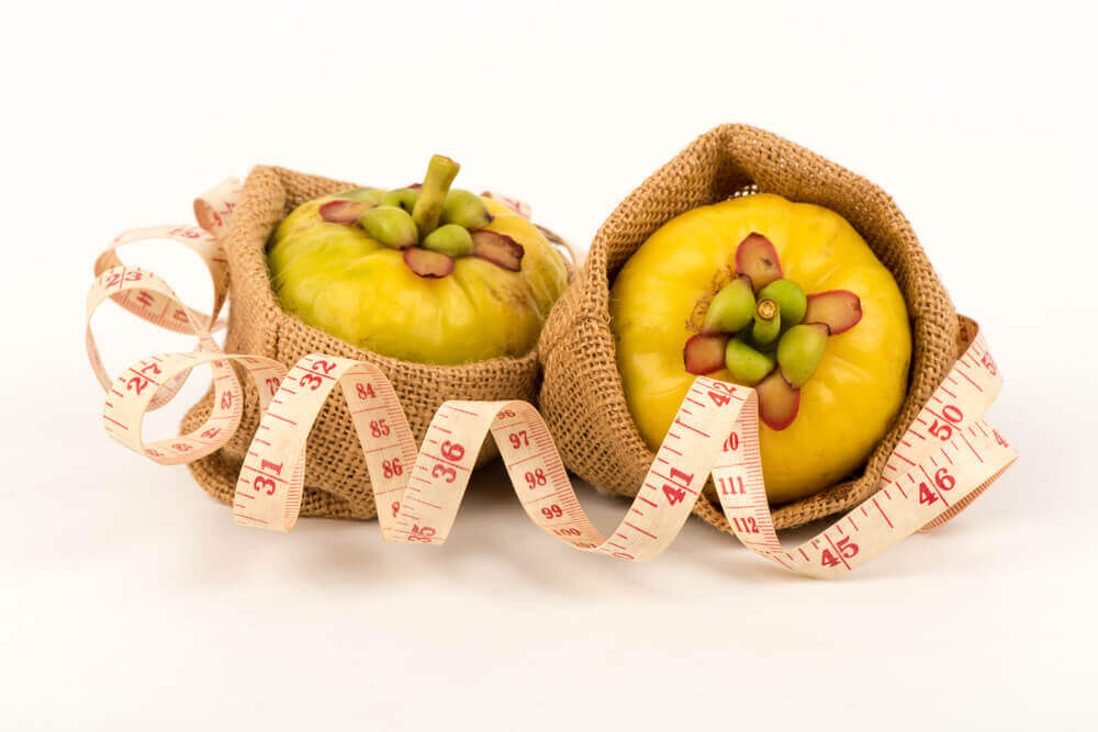 Le Garcinia Cambogia, une aide naturelle pour perdre du poids Le Garcinia Cambogia, une aide naturelle pour perdre du poids