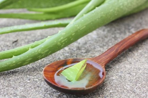 Du gel d'Aloe vera