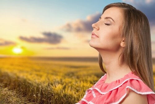 le soleil contre l'insomnie