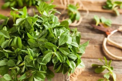Traitement Naturel De La Mastite Inflammatoire