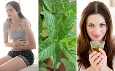 Découvrez 5 remèdes maison à la menthe