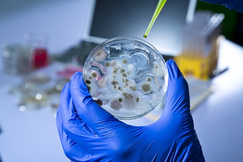 causes des maladies sexuellement transmissibles (MST)