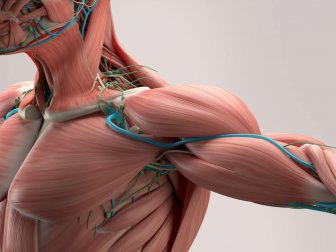7 solutions maison pour réduire les spasmes musculaires
