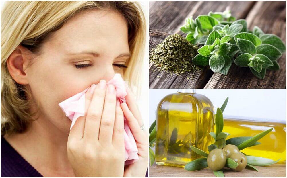 Remède à base d'origan et d'huile d'olive pour votre système respiratoire