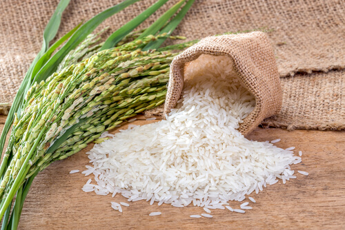 dangers des aliments génétiquement modifiés : riz