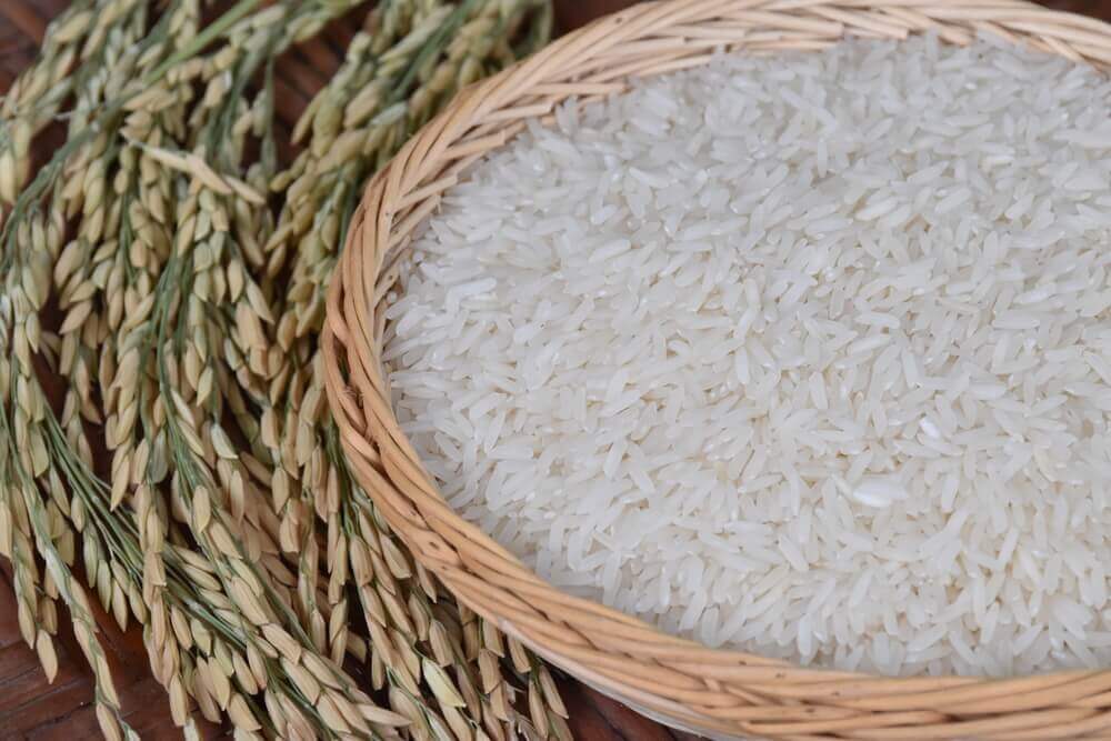 Le riz