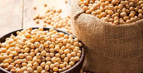 recette riche en protéines : soupe de soja aux légumes