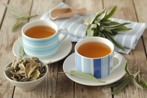 6 propriétés curatives de la sauge