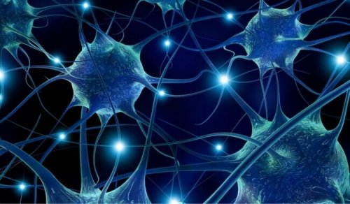 Elles empêchent les problèmes neurodégénératifs