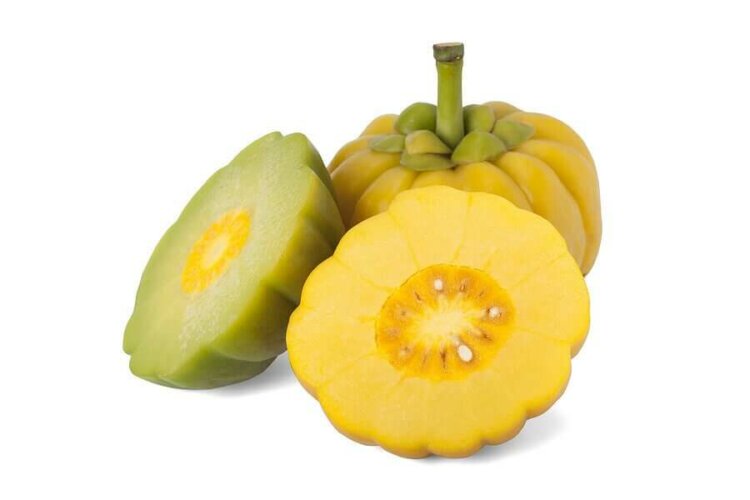 Garcinia Cambogia