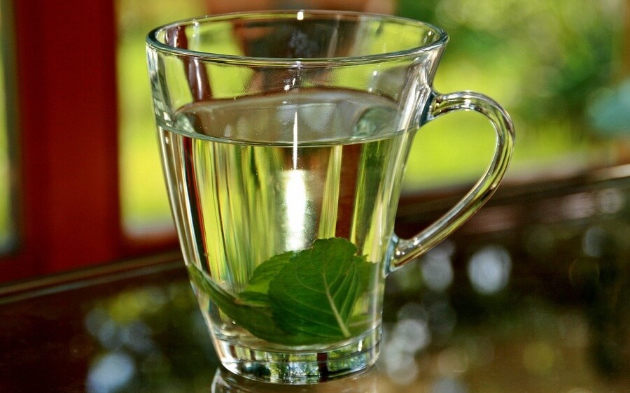 Infusion de basilic