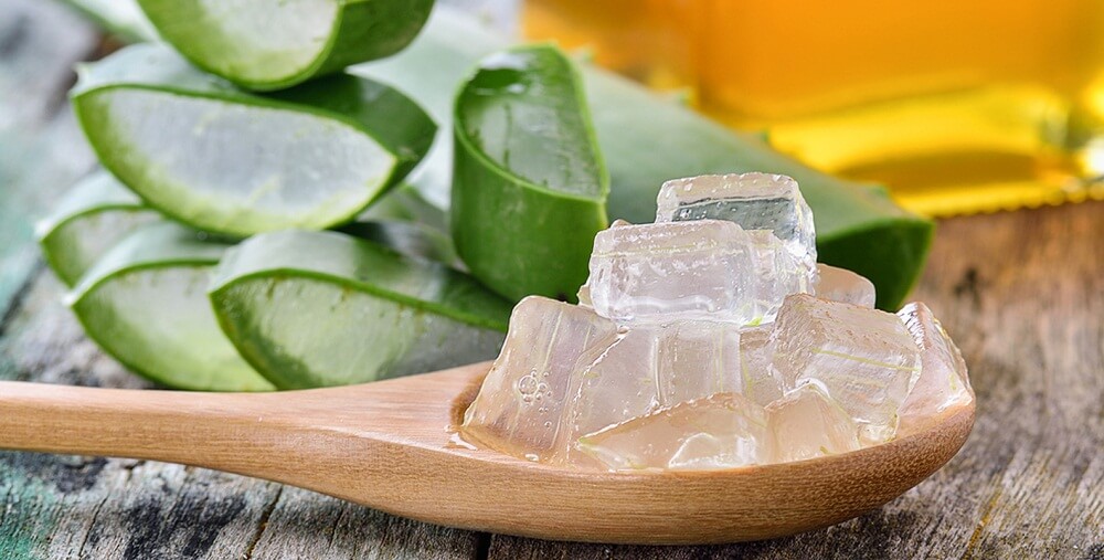 aloe vera
