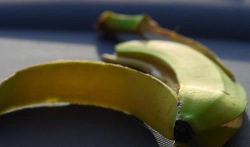 différences entre la banane plantain et la banane