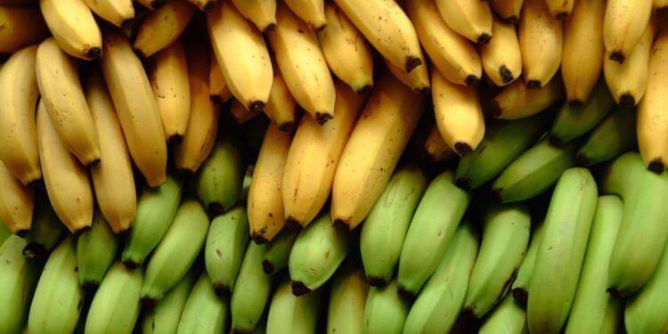 3 différences nutritionnelles entre la banane et la banane plantain