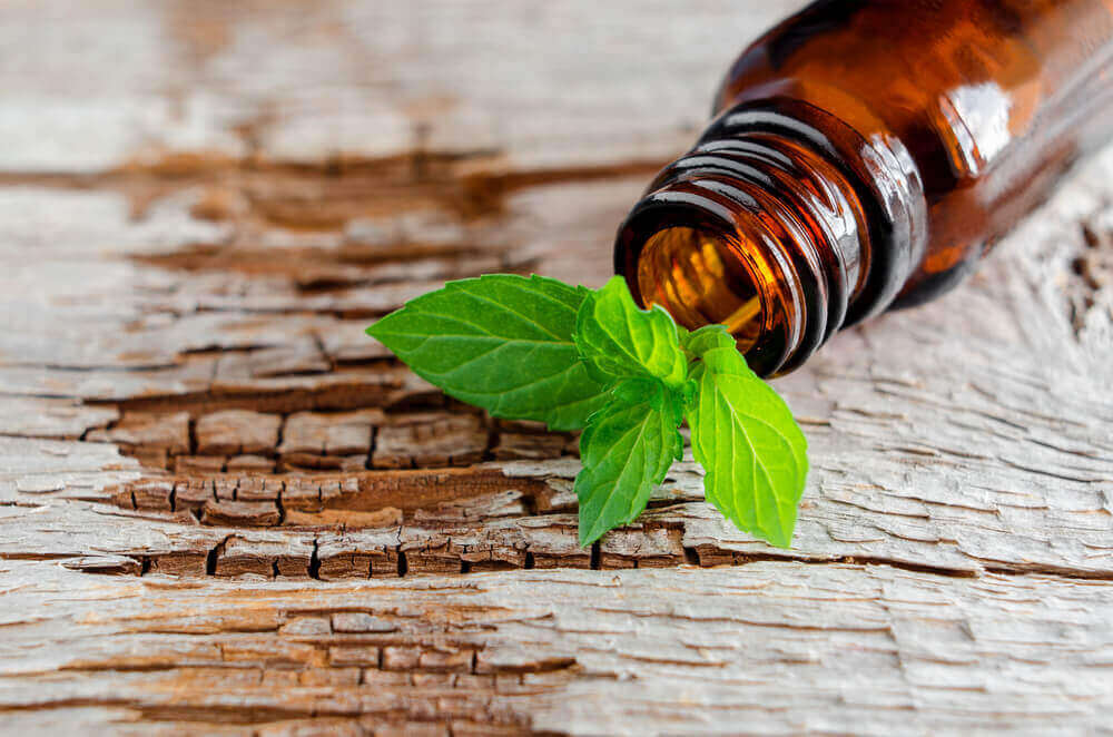 bienfaits de la menthe pouliot