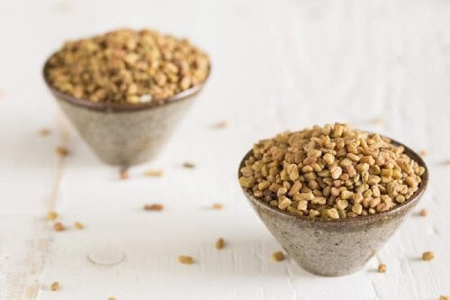 le fenugrec pour épaissir les cheveux trop fins