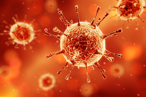 12 infusions pour augmenter les défenses immunitaires