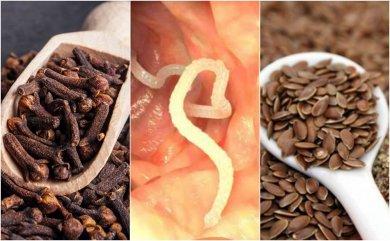Comment éliminer les parasites de l'intestin