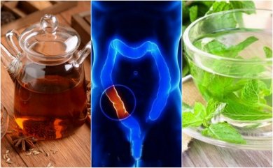 Comment préparer 5 infusions médicinales pour nettoyer le côlon naturellement