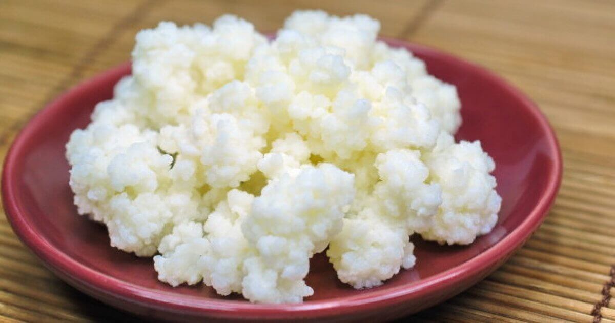Le kéfir est le plus sain et digestif des aliments probiotiques.