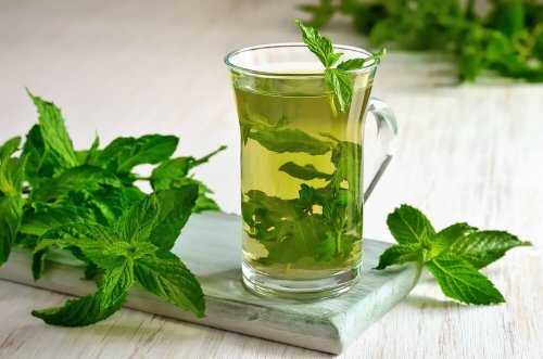 Menthe pouliot : bienfaits et bien plus encore