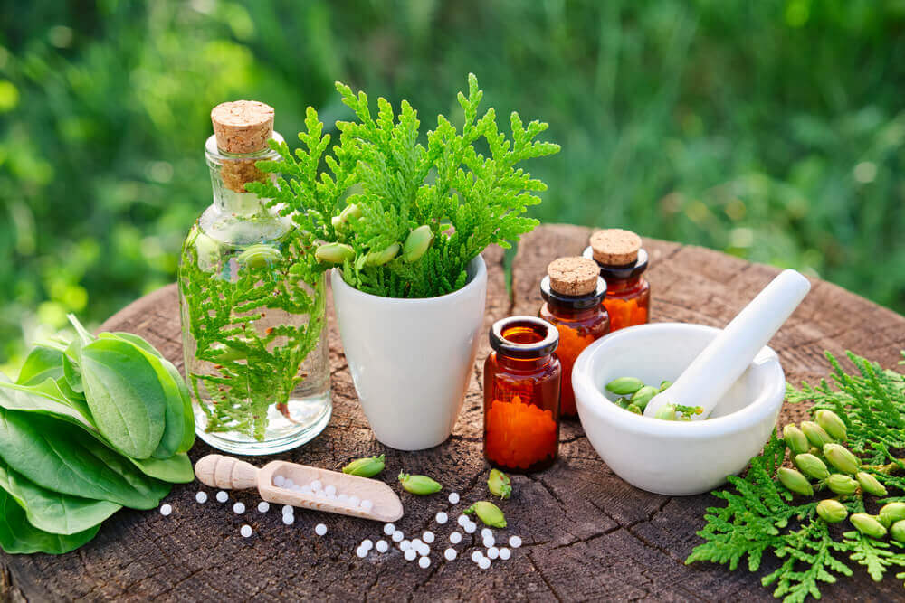 Le plantago stimule le transit intestinal.