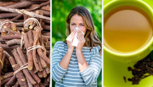 4 alternatives naturelles pour lutter contre la rhinite