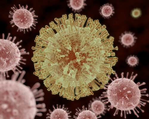 le virus de la gastro-entérite