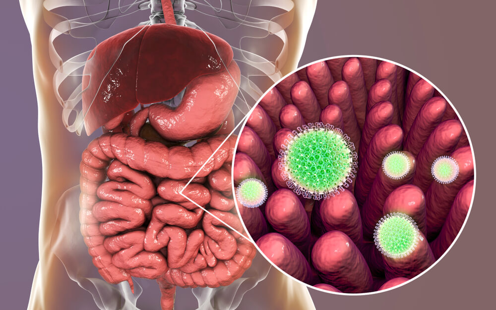 6 signaux d'alerte qui indiquent que votre intestin est malade ...