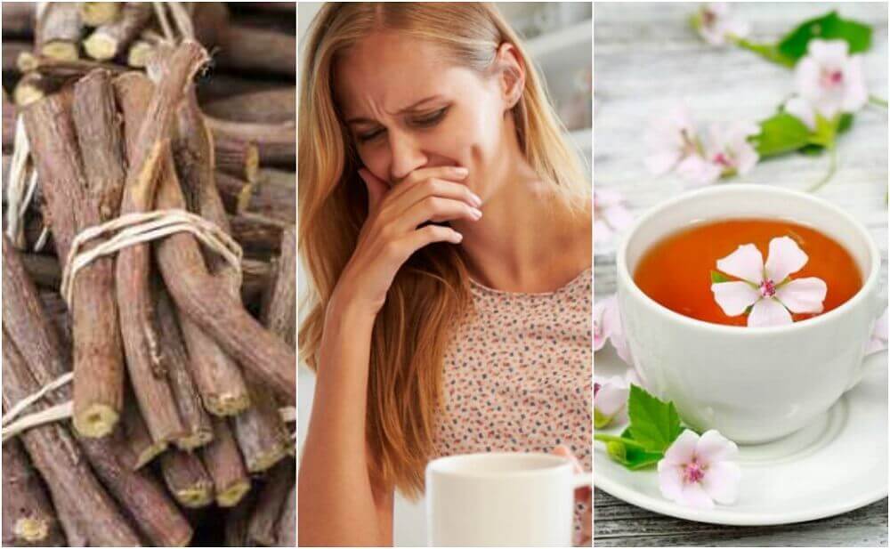5 remèdes naturels pour traiter l’œsophagite 5 remèdes naturels pour traiter l’œsophagite