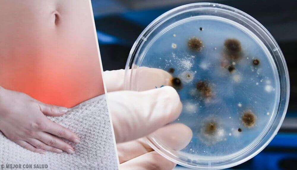 Les types d’infections vaginales et leurs causes Les types d’infections vaginales et leurs causes