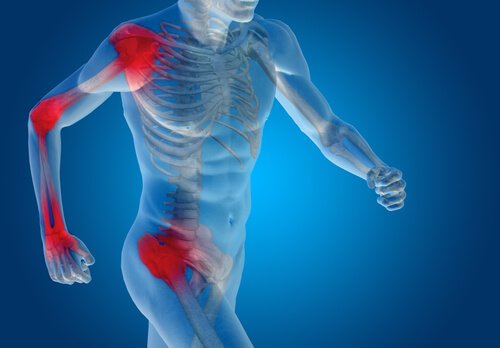 alimentation et cartilage