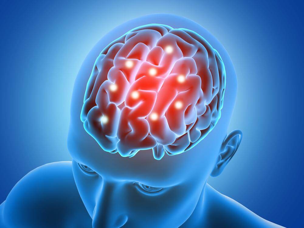 La latéralité du cerveau