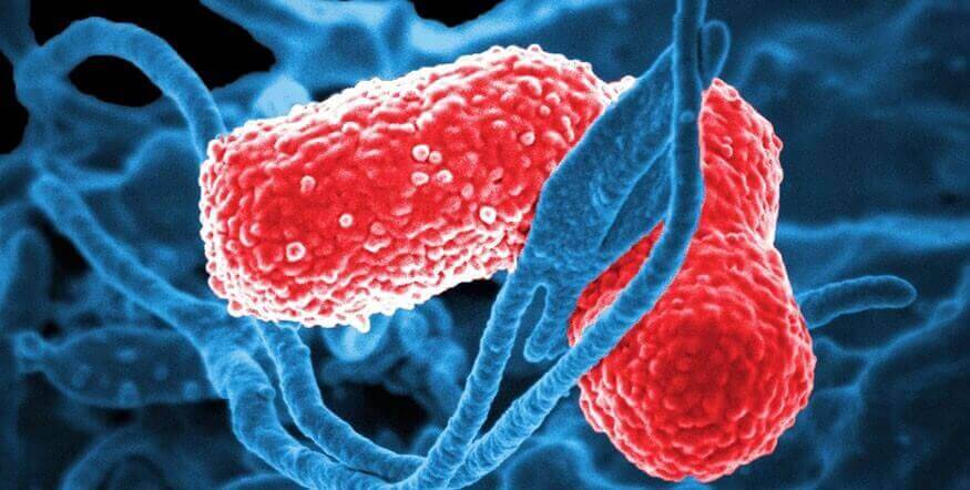 infections vaginales