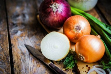Comment extraire le jus d'oignon et quelles sont ses utilisations ?