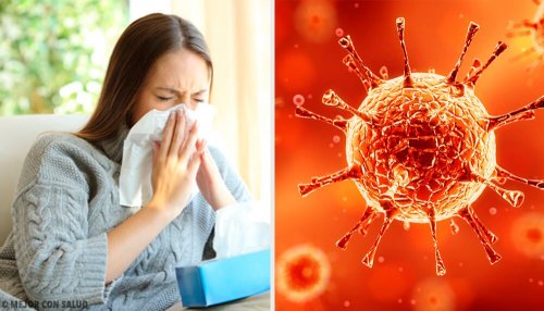 Les virus et la diarrhée