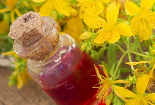 huile d'olive et de millepertuis pour traiter les hémorroïdes