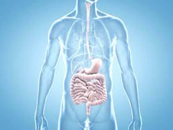 la mauvaise santé intestinale peut être un des premiers symptômes du cancer