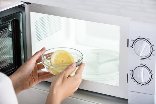 la déshydratation des aliments au micro-ondes