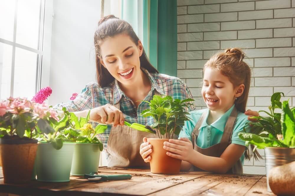 Avoir des plantes d’intérieur permet d’être en meilleure santé