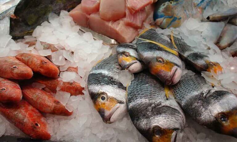 6 types de poissons à éviter : mercure