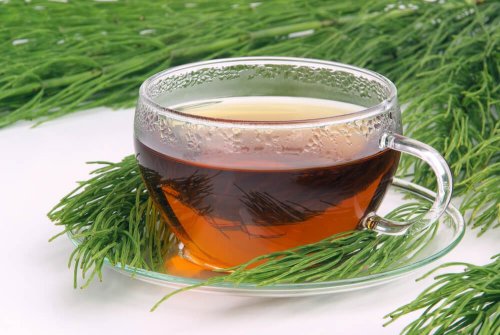 Tisane de prêle des champs.