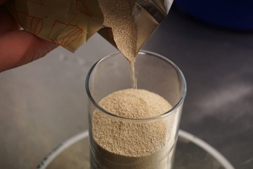 Les propriétés de la levure de bière 