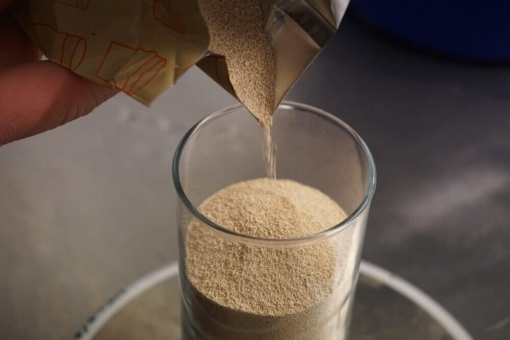 levure de bière