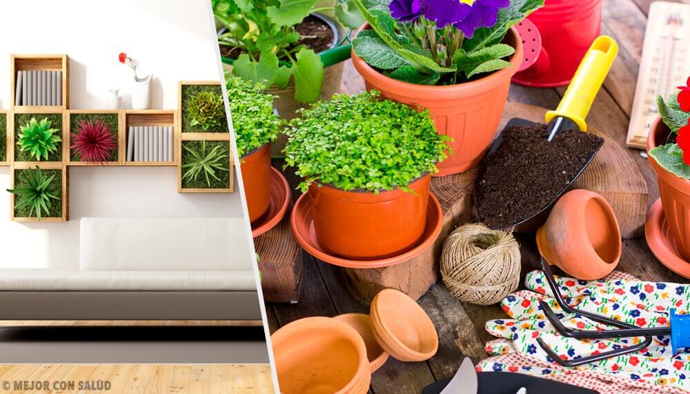 Revitalisez votre maison grâce à 10 idées de décoration avec des plantes