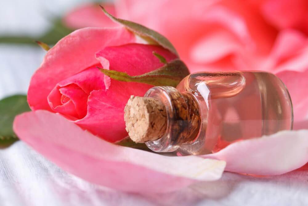 toniques maison pour le visage à base de rose