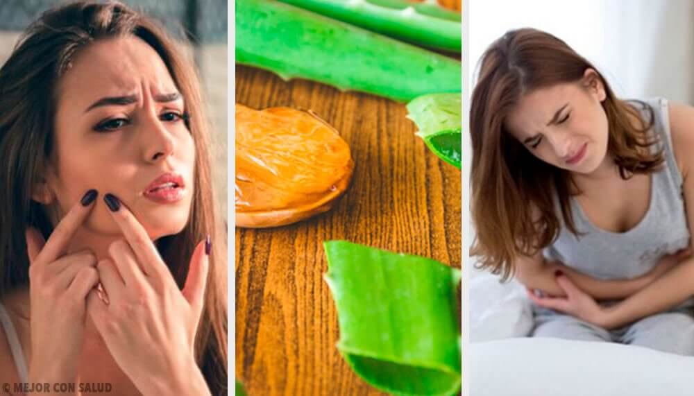6 façons d’utiliser l’aloe vera pour améliorer votre santé 6 façons d’utiliser l’aloe vera pour améliorer votre santé