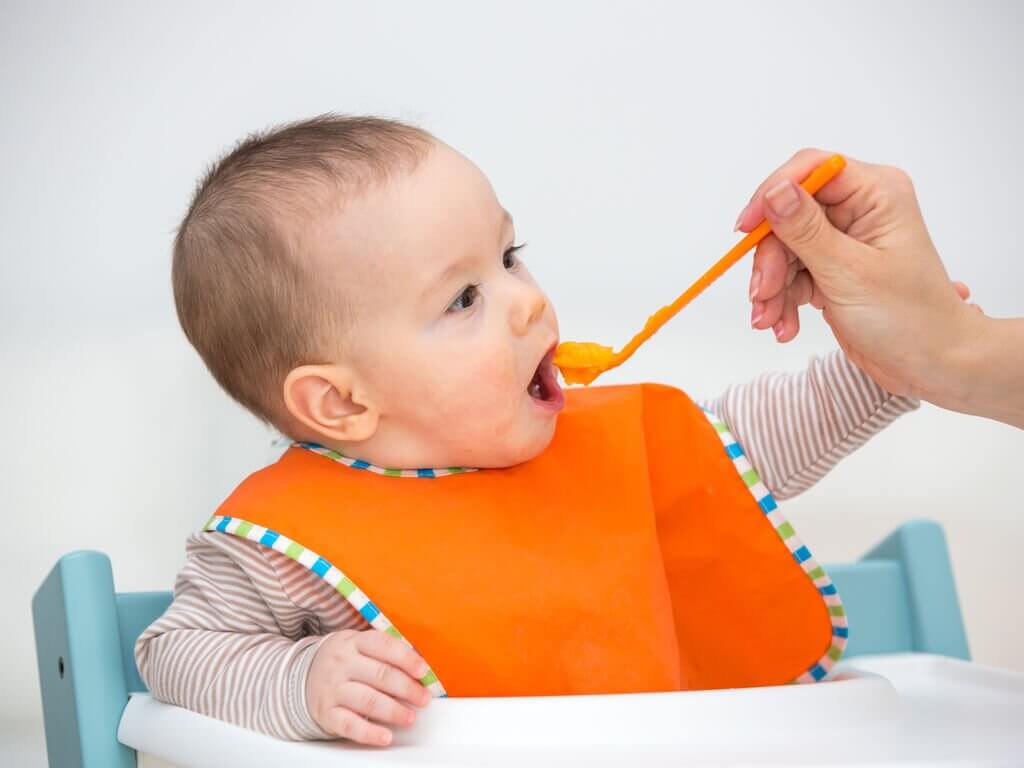 aliments solides pour bébé